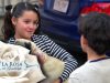 Efren adopta a Amelia