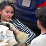 Efren adopta a Amelia